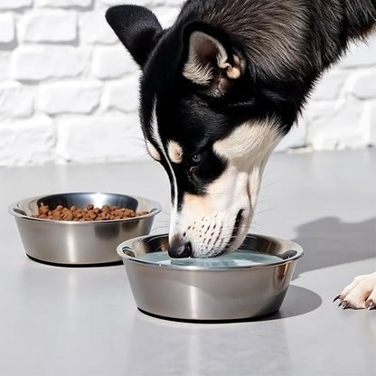 11 Cup Stainless Steel Dog Bowls Set of 2 for Food and Water, Silicone Base Anti-Slip, Rust Resistant, Extra Thick Metal Bowls for Medium Dogs, Black