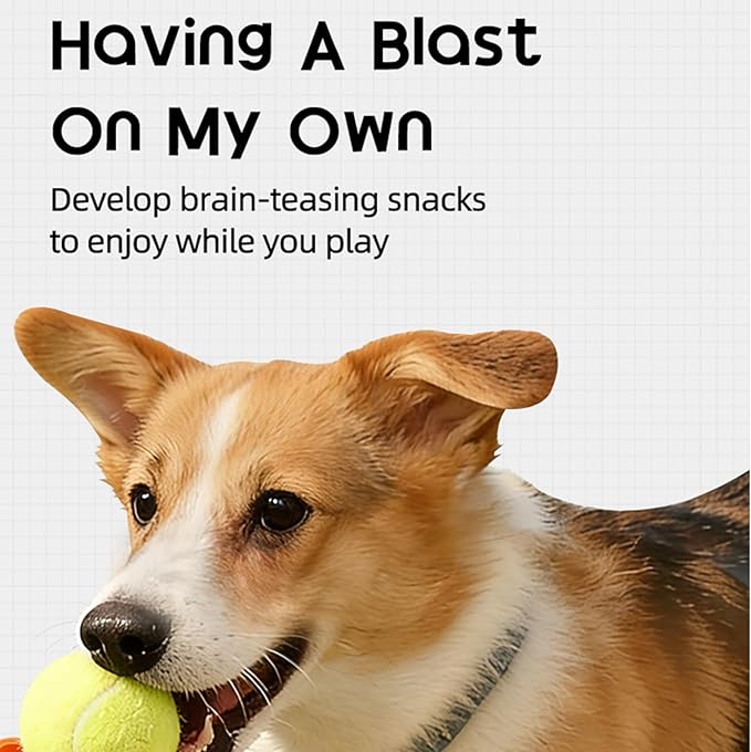 Dog Ball Thrower Interactive Toy - Automatic Machine | 12x10x8 Inches Device with Treat Dispenser, Body with Adjustable Launch Distance, Pet Exercise Toy for Apartment, Living Room, Home
