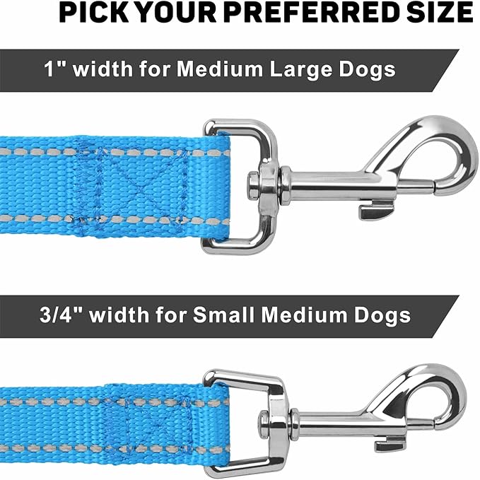 Reflective Dog Leash 6ft Soft Padded Handle Nylon Lead for Small & Medium Dogs, Durable Walking Training Leash for Night Safety (SkyBlue,3/4Inch Wide)