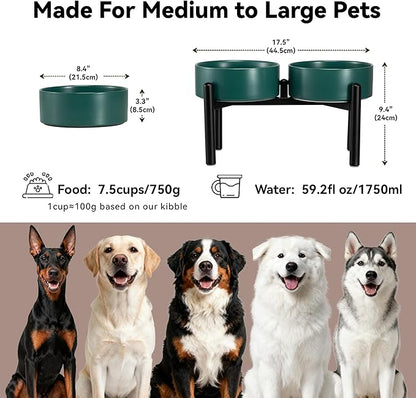 Dog Bowls Elevated - Ceramic Raised Dog Bowl with Non Slip Steel Stainless Stand - No Spill and Heated Feeding Station - Food and Water Dish Set for Medium to Large Pet - Each Holds 7.5 Cups – Green