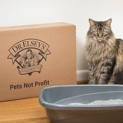 Precious Cat Classic Premium Clumping Cat Litter, 18 lb Bag