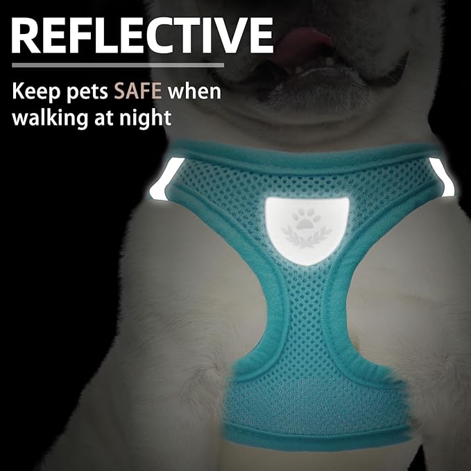 PUPTECK Adjustable Dog Harness Collar and Leash Set Step in No Pull Pet Harness for Small Medium Dogs Puppy and Cats Outdoor Walking Running, Soft Mesh Padded Reflective Vest Harnesses, Turquoise S