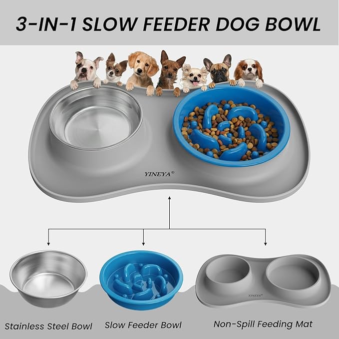 Slow Feeder Dog Bowls Stainless Steel Food and Water Bowl Set 3 in 1 No Spill Waterproof Silicone Pet Food Mat Puppy Feeding Station for Large Medium Small Breed Non Slip Metal Dish Tray by YINEYA