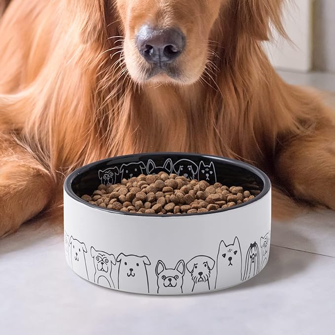 Fun Elements Ceramic Dog Bowls - Large, Non-Slip, 64 Fl Oz, Black with Adorable Dog Patterns (Large, Black)