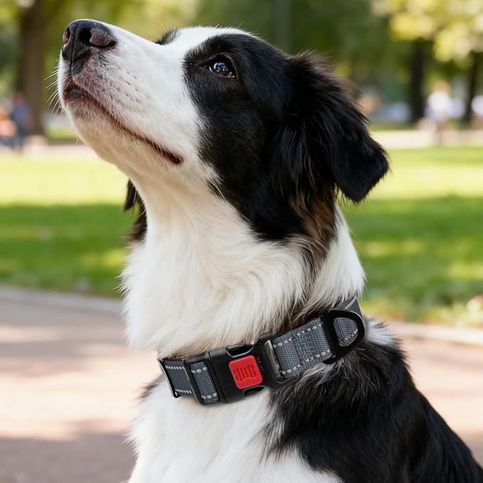 Taglory Reflective Dog Collar with Safety Locking Buckle, Soft Neoprene Padded Dog Collar for Medium Dogs, Metal D-Ring, Adjustable Nylon Neck Strap for Daily Walking, Training & Running, Grey, M