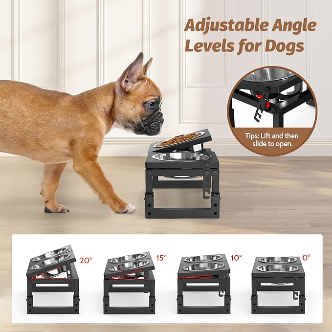 Dog Bowls Elevated Small, 3 Height(4.2" to 6") & Angle (0-20°) Adjustable Raised Dog Bowl Stand, Elevated Dogs Bowl Stand Pet, Sturdy Metal Dogs Feeding Station with 2X 20oz (2.5cup) Dishes