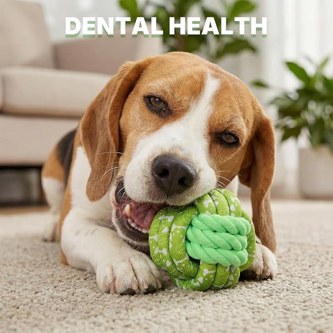 Green Rope Dog Balls - Durable Braided Rope Toy Ball, Dog Chew Toys for Medium Large Breeds, Dental Puppy Balls Teething Toys, Interactive Games