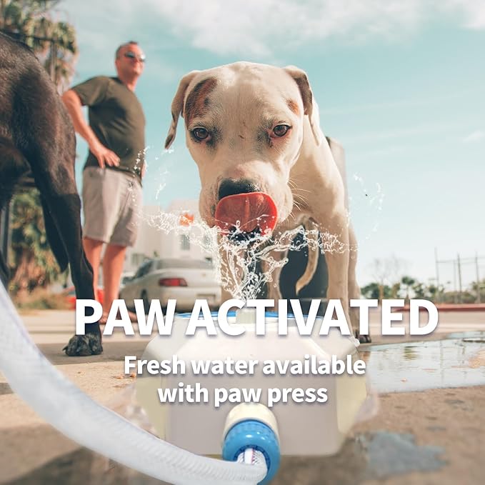 ALL FOR PAWS Outdoor Paw Activated Dog Water Fountain, Step On Dog Water Dispenser, Dog Drinking Fountain with Hose Connector, Cooling Water Sprinkler for Yard, Garden & Lawn