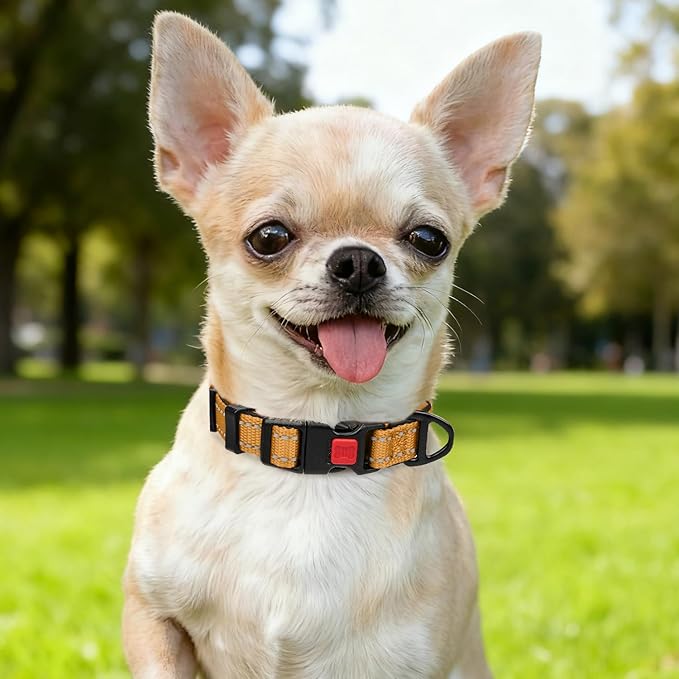 Taglory Reflective Dog Collar with Safety Locking Buckle, Soft Neoprene Padded Dog Collar for Puppy Dogs, Metal D-Ring, Adjustable Nylon Neck Strap for Daily Walking, Training & Running, Tan, XS