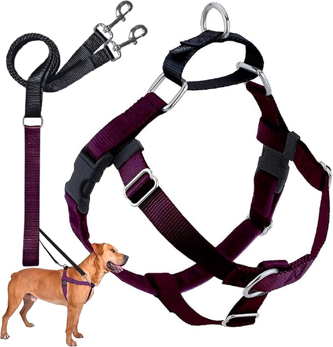 2 Hounds Design Freedom No Pull Dog Harness, Adjustable Harness and Leash Set, Easy Walking & Comfortable Control, Fits Small, Medium & Large Dogs, Solid Colors, Made in USA, 1" MD, Burgundy