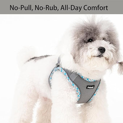 Petank Dog Harness for Small Medium Dogs No Pull, Puppy Harness and Leash Set for Walking, Running, Training, Small Dog Harness, Medium Dog Harness (Grey, M)