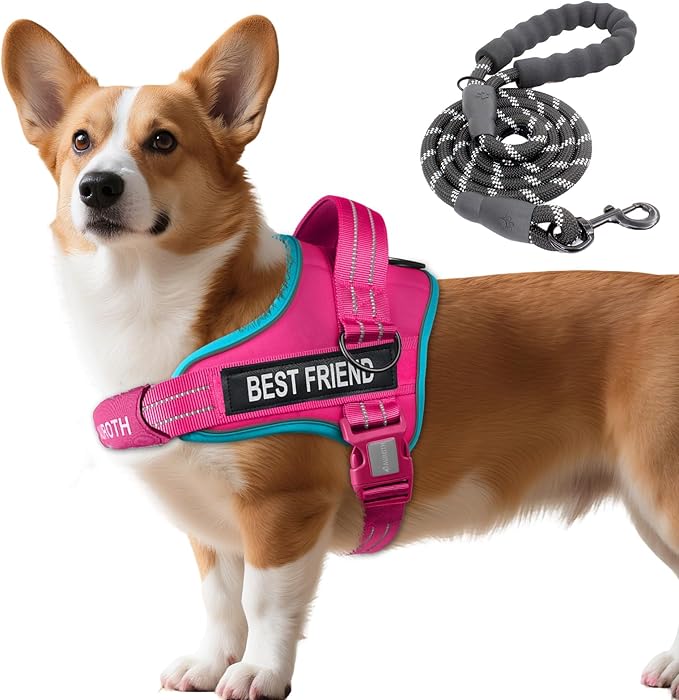 AUROTH Dog Harness and Leash Set, Soft Padded Service Dog Vest with 5.25FT Dog Leash, No Choke, Easy On Pet Vest, Adjustable Reflective No Pull Dog Harness Small Sized Dog, Easy Walking and Training