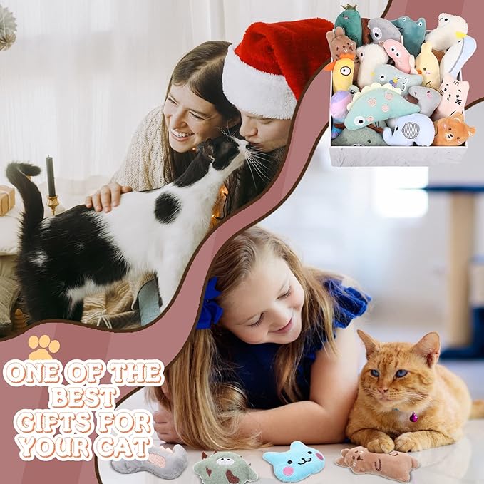Sratte 25 Pcs Catnip Cat Chew Toy Interactive Catnip Filled Kitten Soft Cotton Cat Toys for Cats Kitten, Assorted Cat Teething Chew Indoor Pet Supplies (Lovely)