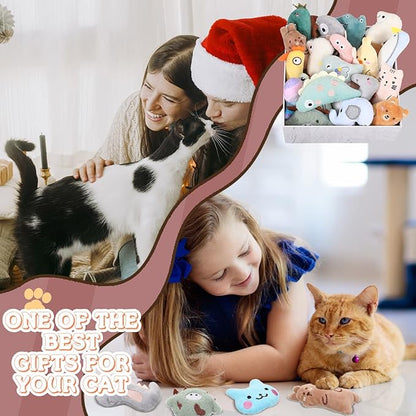 Sratte 25 Pcs Catnip Cat Chew Toy Interactive Catnip Filled Kitten Soft Cotton Cat Toys for Cats Kitten, Assorted Cat Teething Chew Indoor Pet Supplies (Lovely)