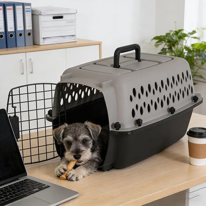 Pet Portable Kennel for Dogs, Hard-Sided Travel Carrier, Durable, Metal Door, Black & Grey, for Pets up to 10 lbs, 19" L x 12.3" W x 10.8" H