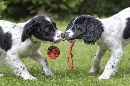 Dog Training Ball on Rope - Exercise & Reward Toy for Dogs - Chew, Pull, Throw & Fetch - Belgian Malinois Gifts