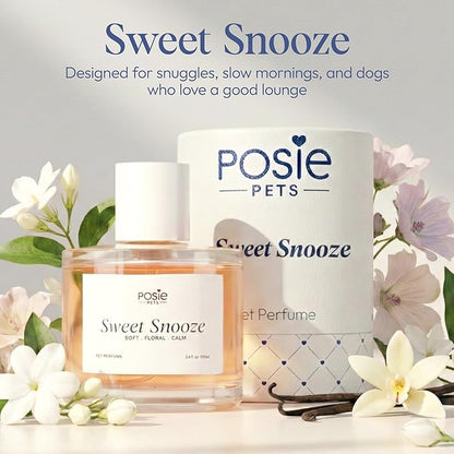 Perfume Gift Pack - Contains One Citrus Tale Fragrance, One Sweet Snooze Fragrance and Massage Brush