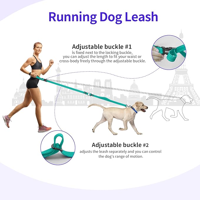 Kazazoo Hands-Free Dog Leash with Adjustable Length 6-9FT + Dual Padded Handles Reflective Safety for Walking, Jogging & Training | Suitable for Medium to Large Dogs & Puppies Green-L