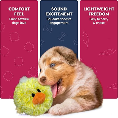 Pet Lou DOG'Z 4 Inch EZ Squeaky Chick Dog Plush Toy, Stuffing-Free Soft Plush, Durable Bouncy Squeaker Ball, Floats in Water, for Small & Medium Dogs, Yellow