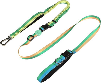 ‌EVERKING 6ft Hands-Free Dog Leash - 6-in-1 Adjustable with 360° Rotating Buckle, Night Reflective & Shock Absorbing for Large/Small Dogs (Up to 120lbs) (Green)