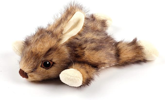 ALL FOR PAWS Orel Rabbit Squeaky Doy Toy, Bunny Dog Toy for Small Medium Large Breed, Puppy Fetch Toy with Squeaker, Plush Chew Dog Toy, 9.8 x 7.5 x 4.3 inches