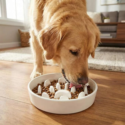 Ceramic 1.5 Cup Slow Feeder Dog Bowl, Slow Feeding Dish for Small & Medium Breeds to Slow Down Eating, Anti-Gulping, Preventing Choking (White)