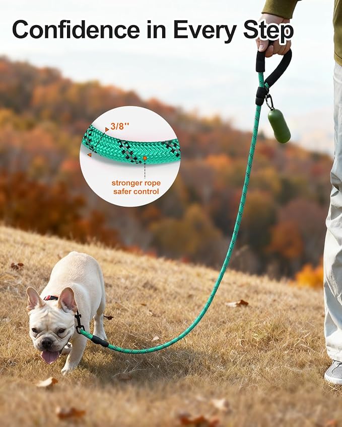 Joytale Dog Leash for Small Dogs, Heavy Duty Nylon Leashes with Comfortable Padded Handle and Highly Reflective Threads, Ideal for Walking and Training, Teal, 6'×3/8''