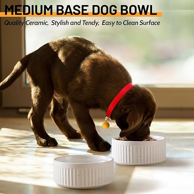 Non-Slip Ceramic Dog Bowls, 5" Dog Food and Water Bowl Set with Silicone Base, 16oz/2cups Weighted Flip-Proof Pet Feeding Bowl for Small Dogs and Cats (Small, White)
