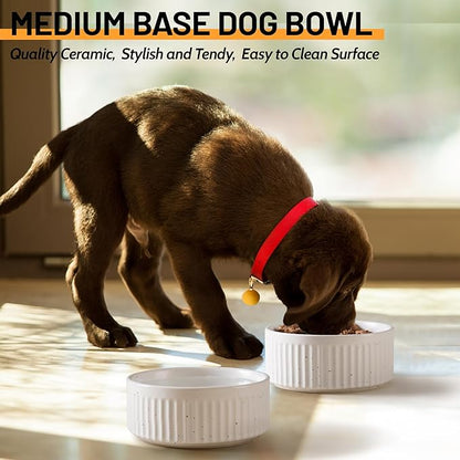 Non-Slip Ceramic Dog Bowls, 5" Dog Food and Water Bowl Set with Silicone Base, 16oz/2cups Weighted Flip-Proof Pet Feeding Bowl for Small Dogs and Cats (Small, White)