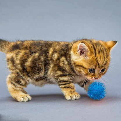 PET SHOW 20pcs Cat Sparkle Ball for Indoor Cats 1.77 Inch Assorted Color Glitter Kittens Toy Balls Cat Chase Pom Pom Balls for Cats