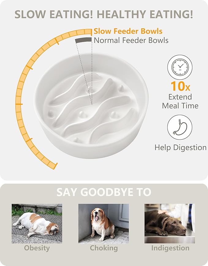 Ceramic Slow Feeder Dog Bowls for Small Dogs, 0.6 Cup Dog Slow Feeder for Fast Eater, Puzzle Maze Bowl, 14oz, 6in, White
