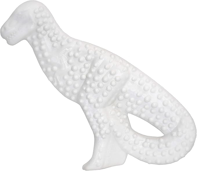 Nylabone Dental Dinosaur Power Chew Toy for Dogs, Dog Toys for Aggressive Chewers, Chicken Flavor, Small - Up to 25 lbs, 1 Count