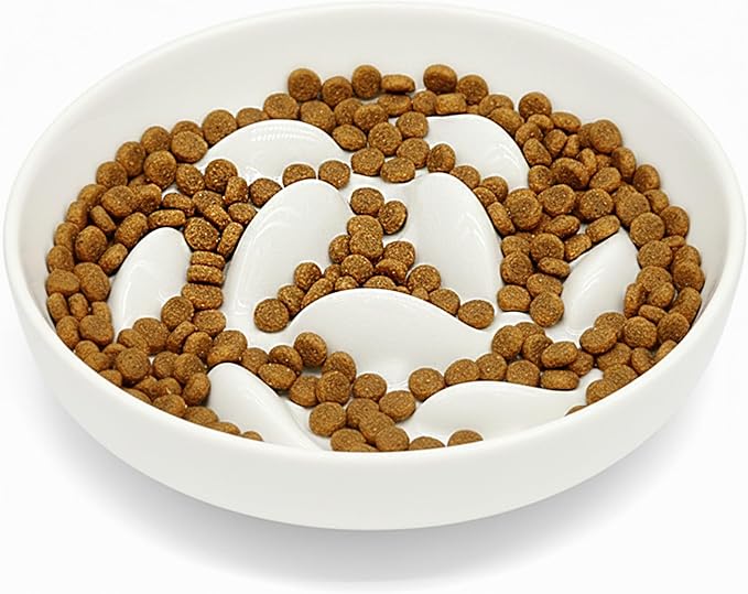 Anti-Bloat Ceramic Slow Feeder Bowl - Fish Pool Design Interactive Puzzle Feeder for Cats & Small Dogs, Food-Safe Porcelain Healthy Eating Dish (White-Ceramic)
