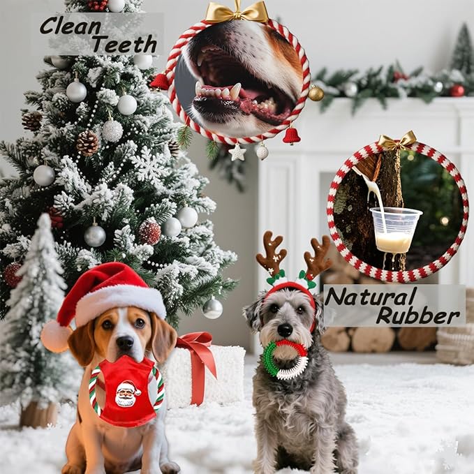 Dog Toys 15 Pack for Teeth Cleaning and Fun, Puppy Teething Chew Toy with Gift Box, Variety Tug Rope Balls & Rubber Rings Bulk for Puppies