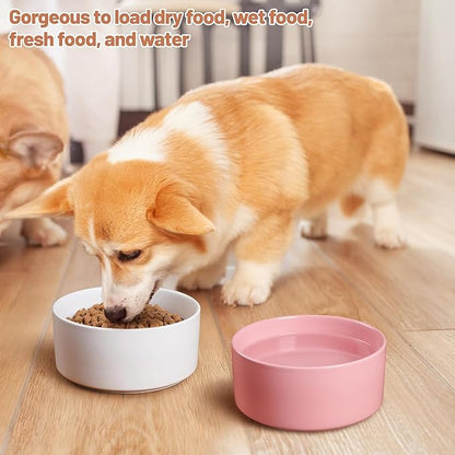Dog Bowls, Non Slip Ceramic Dog Food and Water Bowl with Silicone Base, Heavy Pet Feeding Bowl for Puppies, Small and Medium Dogs (White+Pink, 6 Inches)