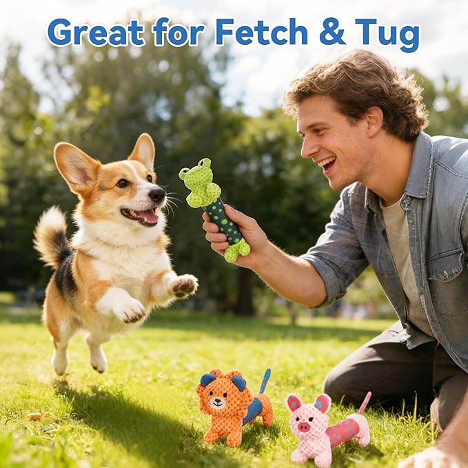 Squeaky Dog Toys, Interactive Dog Toys for Indoor Play, Lion Rabbit Fog Dog Toys with Durable Fabric Material for Small Medium Large Dogs - 3pack
