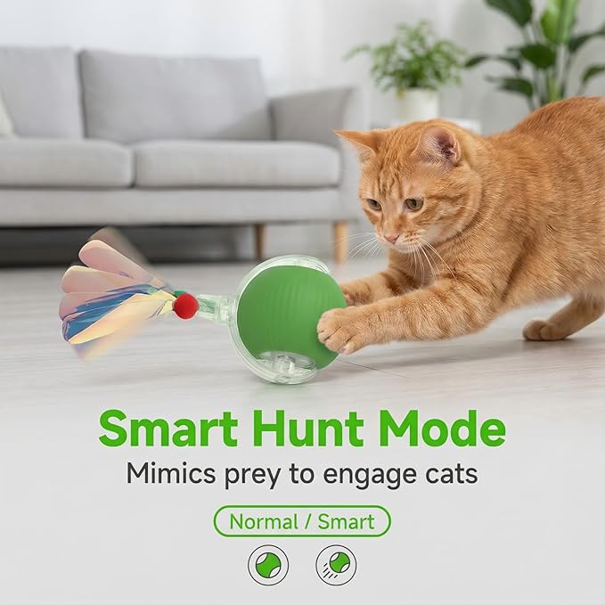JBD Interactive Cat Toy Ball for Indoor Cats-Silent Automatic Rolling & Self Moving Electric Kitten Toys, USB Rechargeable Smart Ball with Tail, Motion Activated Hunting Exercise for Bored Cats Green