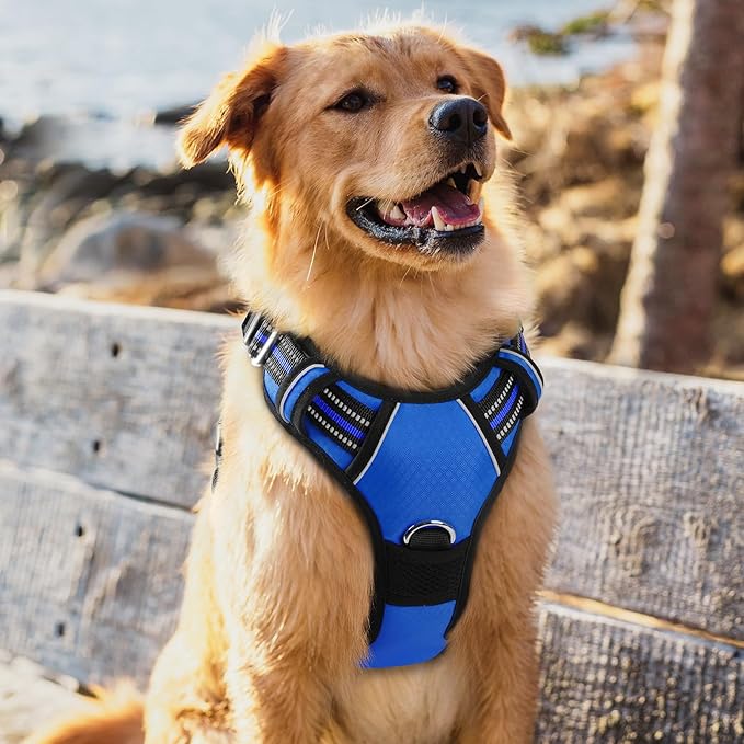 rabbitgoo Dog Harness for Large Dogs, No Pull Pet Vest with 3 Buckles, Adjustable Soft Padded Pet Harness with Easy Control Handle and Reflective Strips, Royal Blue, XL