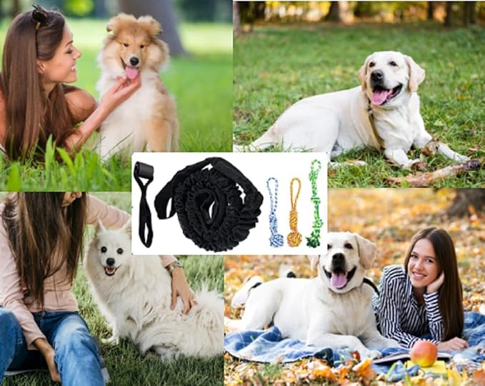 5PCS Spring Pole Dog Rope Toys, Dog Interactive Tether Tug of War Toy, Indoor Outdoor Bungee Hanging Toys, Dogs Tree Interactive Tether Pull & Tug of War Toy, Exercise Toy with Chew Rope for Dogs