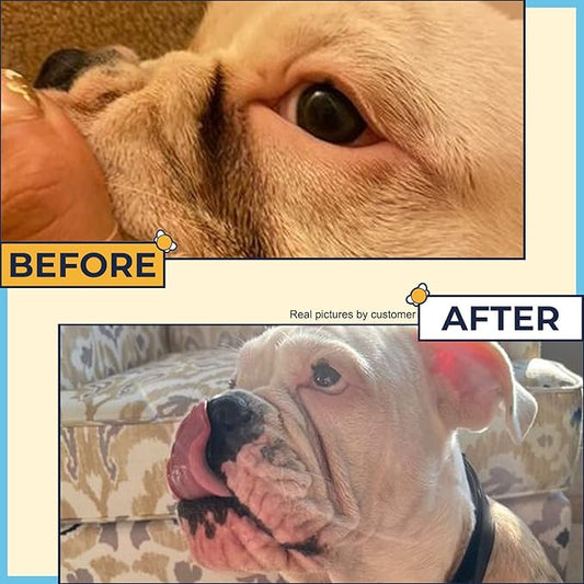 Wrinkle Wipes for French Bulldog, English Bulldog & Pug -100% Organic Extracts Dog Wrinkle Wipes to Soothe Wrinkles- Dog Face Wipes Cleaning Alcohol Free- Say Bye to Rash w/ Paste For Bulldogs Wrinkle