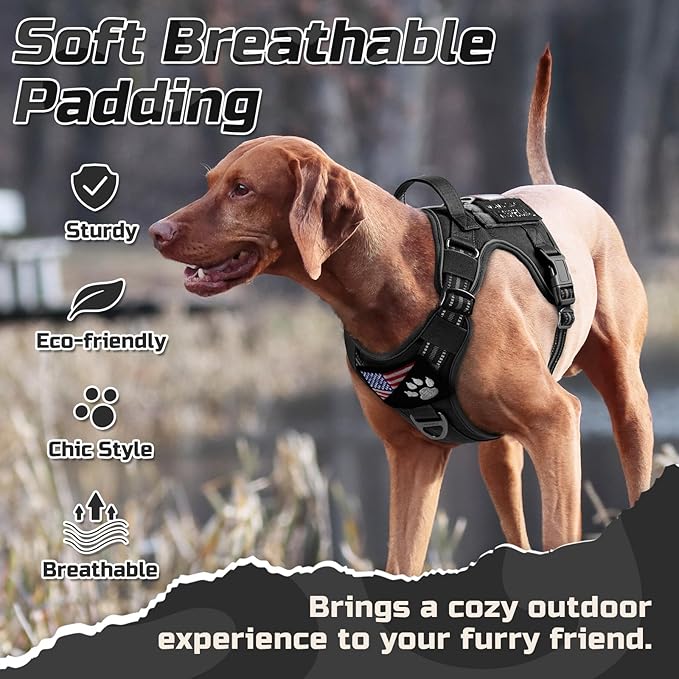 rabbitgoo Tactical Dog Harness Medium Sized Dog, No Pull Military Service Vest with Handle & Molle, Easy Control for Training Walking, Adjustable Reflective Straps, Black, M