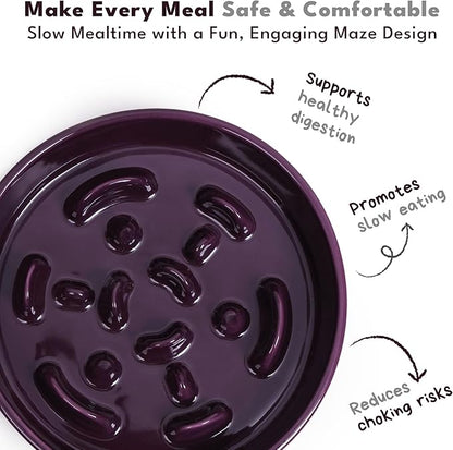 CHEWFFON Ceramic Slow Feeder Dog Bowls, 2 Cups Puzzle Dog Food Bowl for Fast Eaters, Nonslip Stop Bloat Slow Feeder for Small and Medium Breed, Dishwasher Safe, Dark Purple