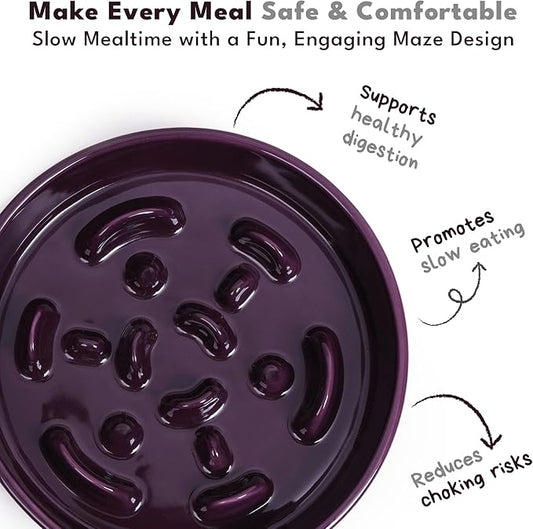 CHEWFFON Ceramic Slow Feeder Dog Bowls, 2 Cups Puzzle Dog Food Bowl for Fast Eaters, Nonslip Stop Bloat Slow Feeder for Small and Medium Breed, Dishwasher Safe, Dark Purple
