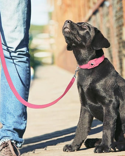 Reflective Dog Leash 6ft Soft Padded Handle Nylon Lead for Medium & Large Dogs, Durable Walking Training Leash for Night Safety (Neon Pink,1Inch Wide)