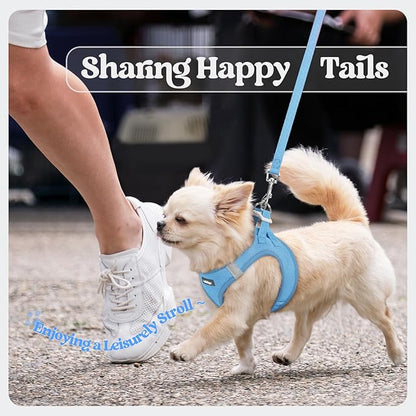 rabbitgoo Dog Harness Small Medium Sized and Leash Set, Step in Soft Light Puppy Vest, Breathable Mesh Pet Harness, Reflective for Safe Easy Walking, Blue XL