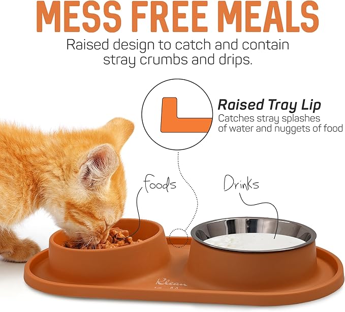 Pets Anti Skid Double Slow Feeder Dog Bowls with Non Skid Silicone Mat - Stainless Steel Dog Water Bowl for Cats & Pets (Orange)
