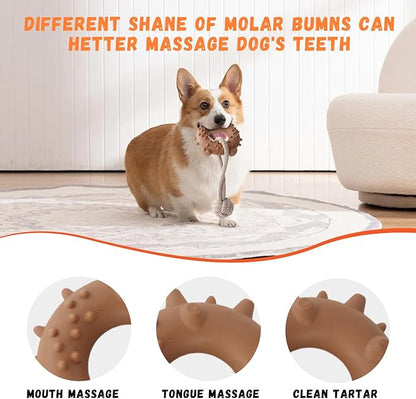 Dog Rope Toy for Medium and Small Dogs Interactive Puppy Toys Tug of War Rope Tether Tug Outdoor Dog Toy 1 Knot Puppy Teething Chew Cotton with PVC Doughnut (Coffe)