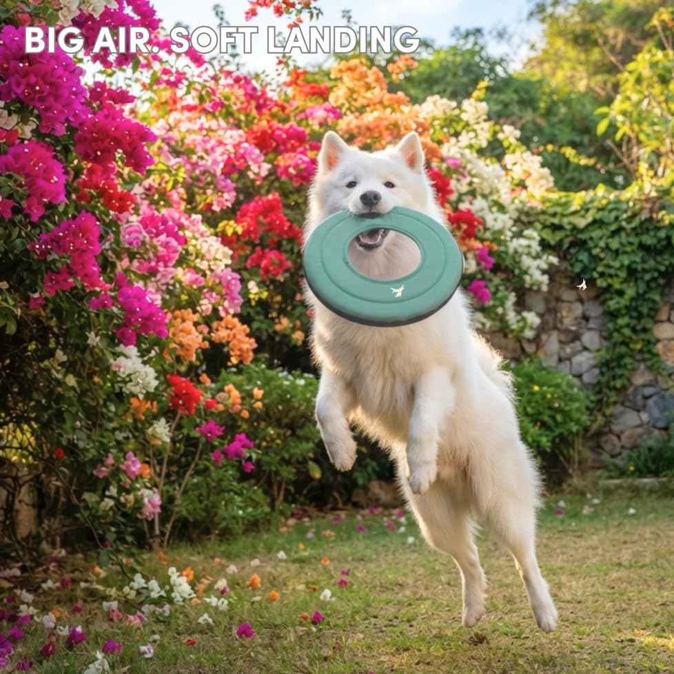 OllyDog Mini Super Flyer, Dog Flying Disc – Floating Fetch Toy, Soft on Teeth, Eco-Friendly Recycled Material, Lightweight, for Small & Medium Dogs (Surf, 9") - Image 4