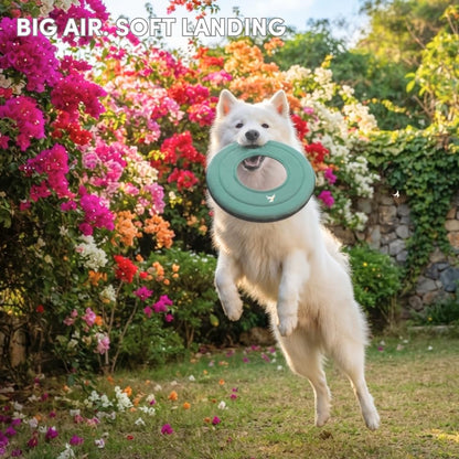 OllyDog Mini Super Flyer, Dog Flying Disc – Floating Fetch Toy, Soft on Teeth, Eco-Friendly Recycled Material, Lightweight, for Small & Medium Dogs (Surf, 9") - Image 4