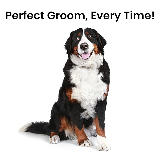 Fresh Ultra Wide XL Metal Pet Comb, Oval Aluminum Handle, Wide Tooth Spacing, Metal Grooming Comb for Dogs, 9.75"